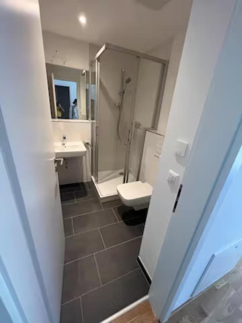 New Business Apartment Nr.21 Dresden Eksteriør bilde